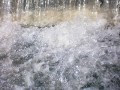Hydrologie