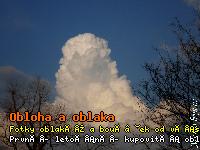 cu_24.3..jpg