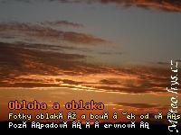 01_1.jpg