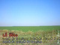 04.jpg